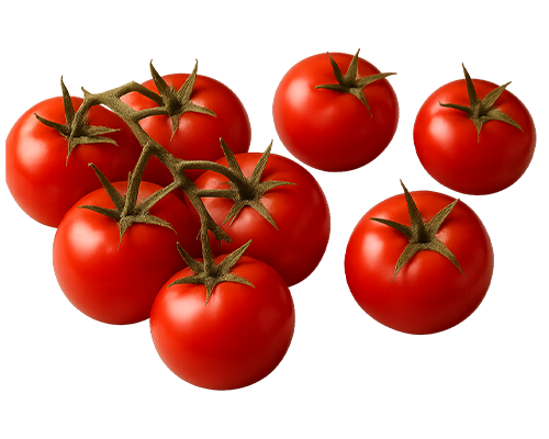 Tomatoes