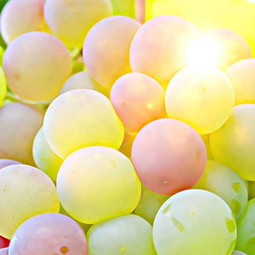 Grapes