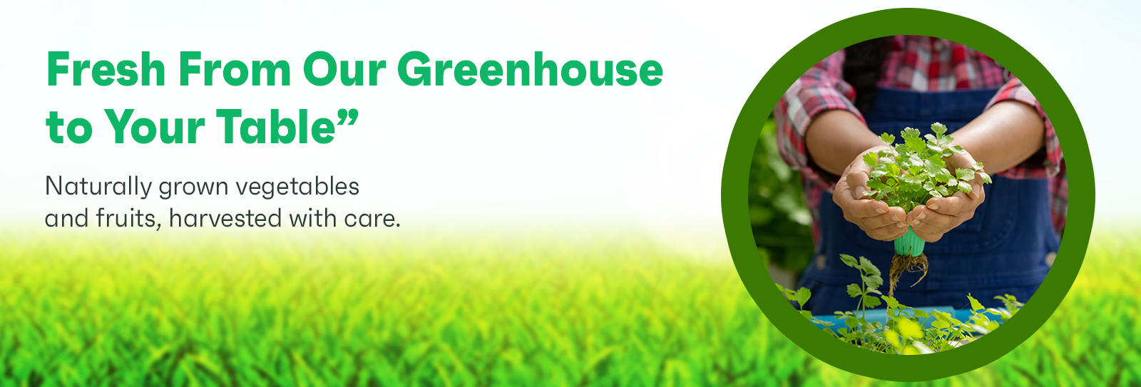 Fresh From Our Greenhouse to Your Table